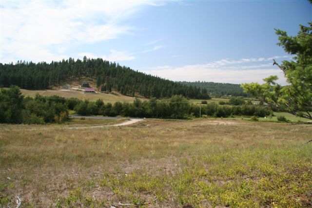 0 East Big Meadows Road Colbert, WA 99005 - Photo 2 of 8