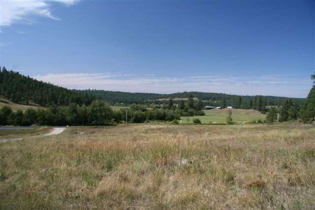 0 East Big Meadows Road Colbert, WA 99005 - Photo 3 of 8