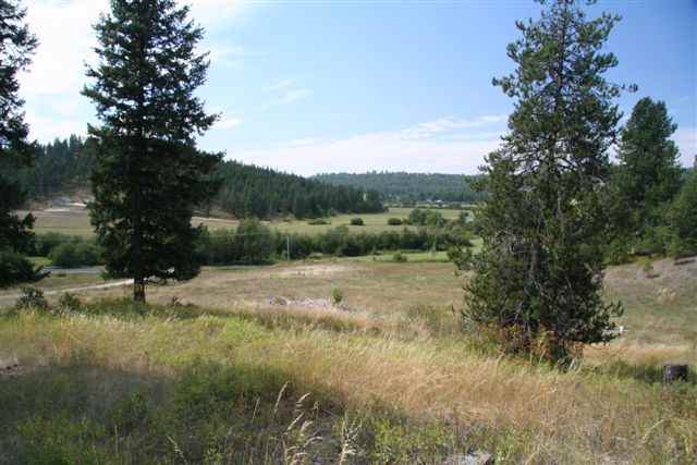 0 East Big Meadows Road Colbert, WA 99005 - Photo 4 of 8