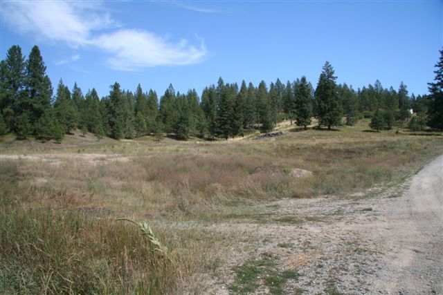 0 East Big Meadows Road Colbert, WA 99005 - Photo 5 of 8