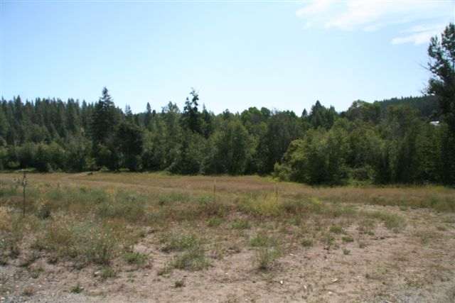 0 East Big Meadows Road Colbert, WA 99005 - Photo 6 of 8