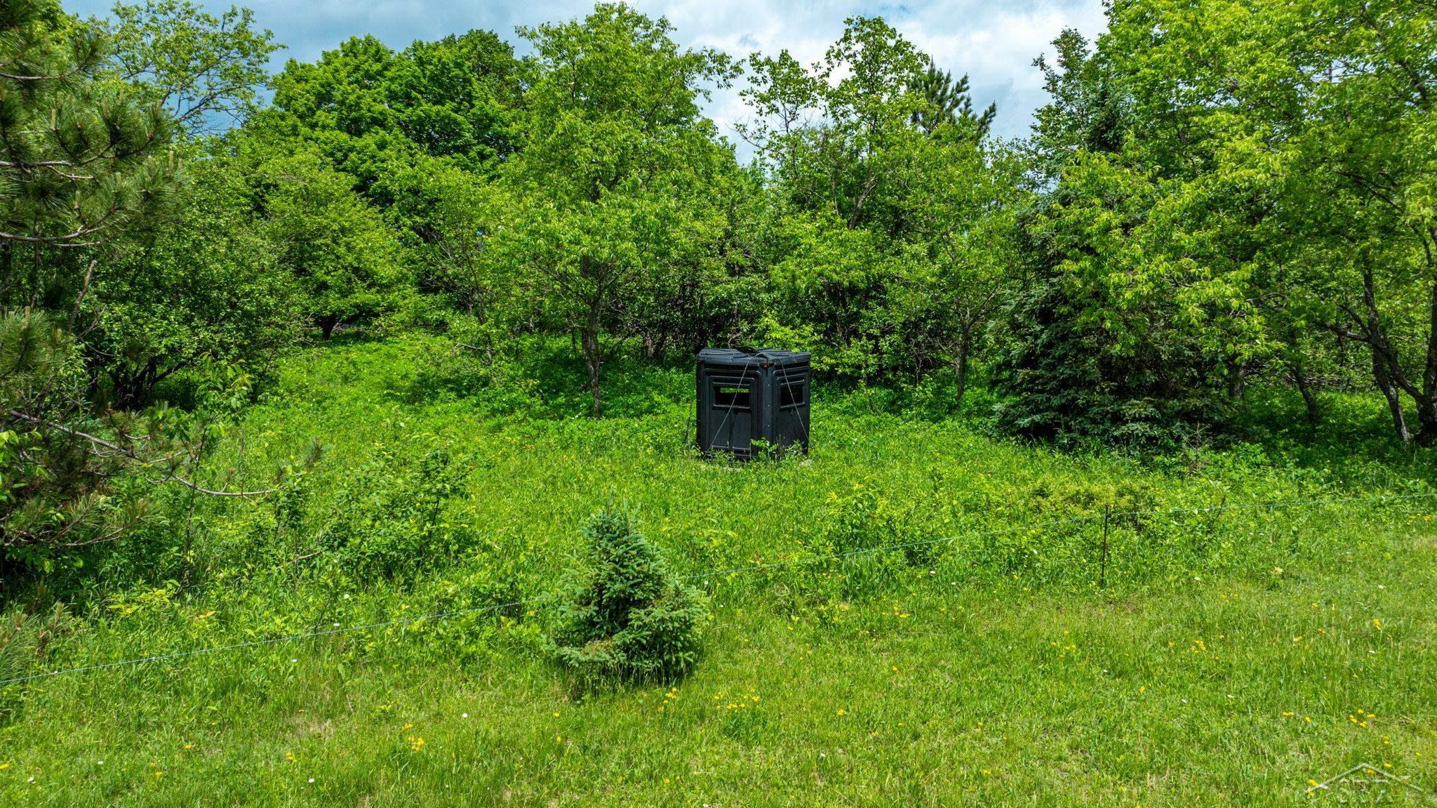 25615 Leo S Road Watton, MI 49970 - Photo 27 of 72