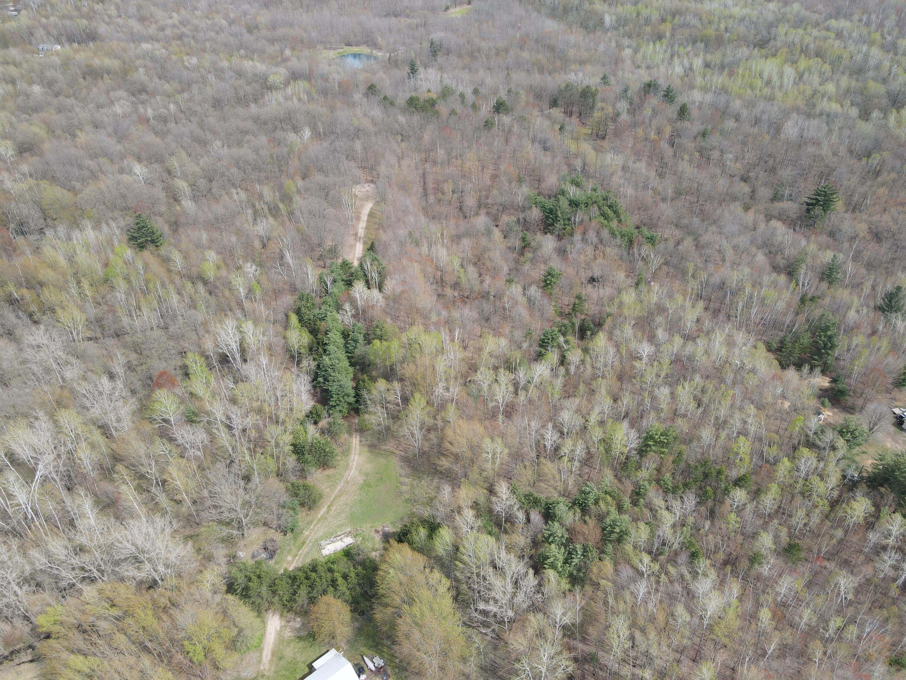 2954 North Carter Road Pinconning, MI 48650 - Photo 24 of 81 DJI_0322