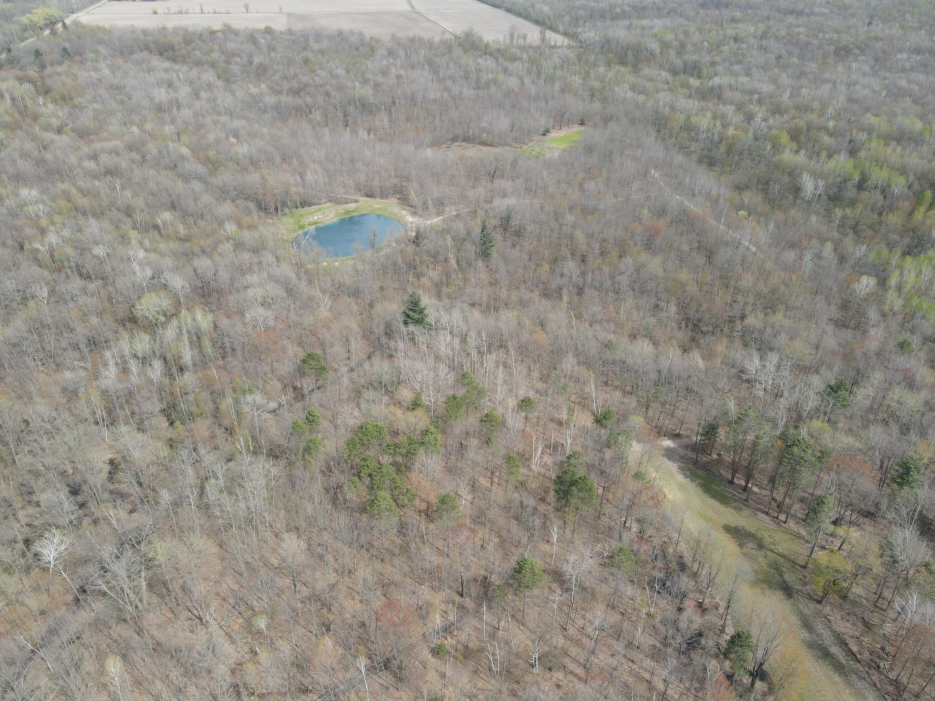 2954 North Carter Road Pinconning, MI 48650 - Photo 27 of 81 DJI_0325