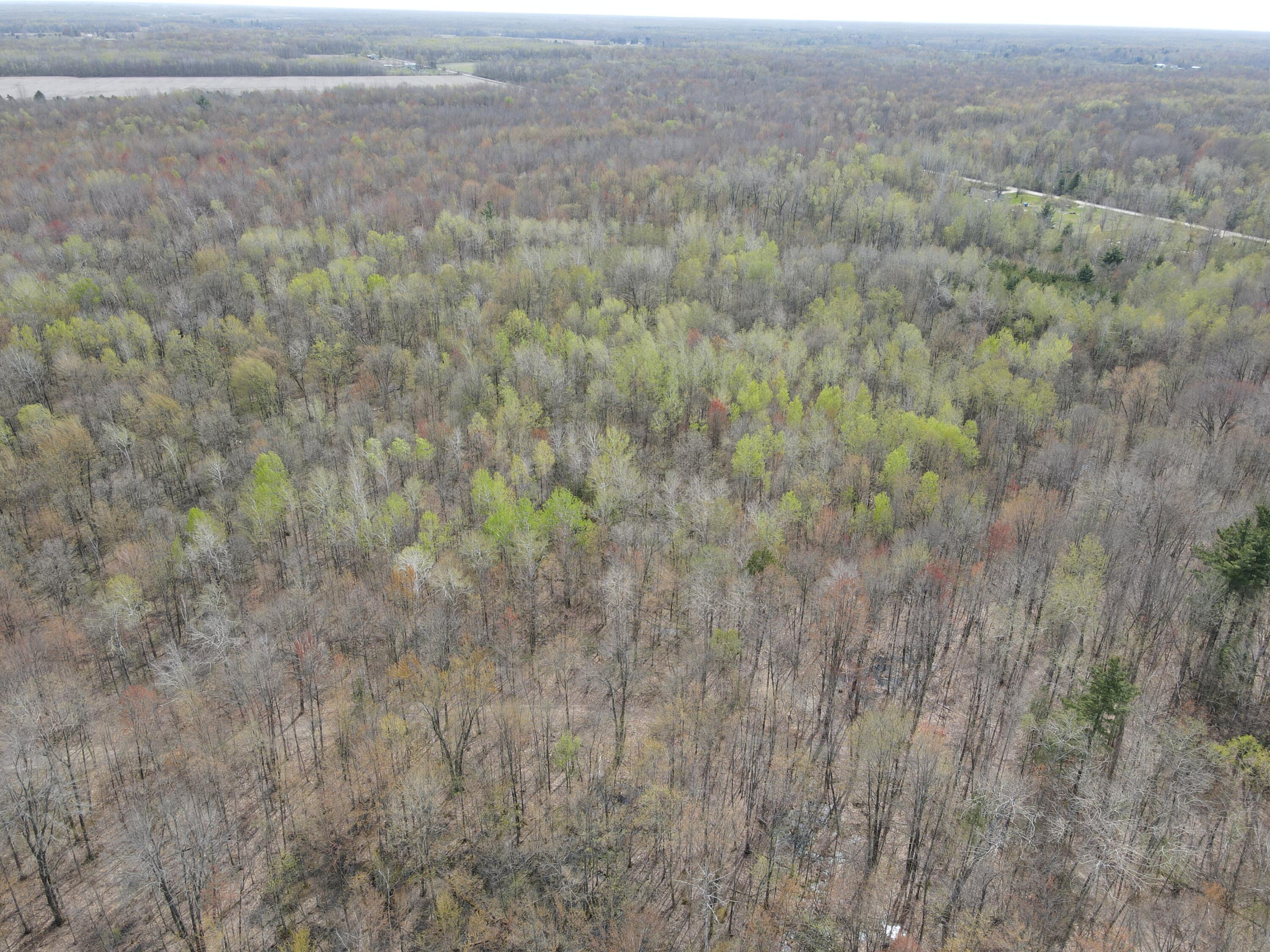 2954 North Carter Road Pinconning, MI 48650 - Photo 32 of 81 DJI_0331