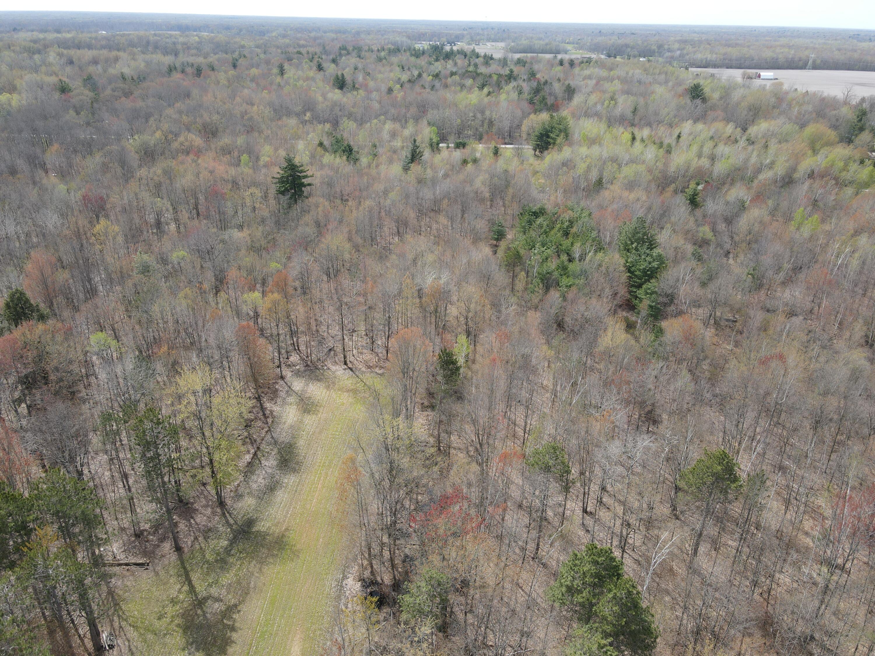 2954 North Carter Road Pinconning, MI 48650 - Photo 33 of 81 DJI_0332