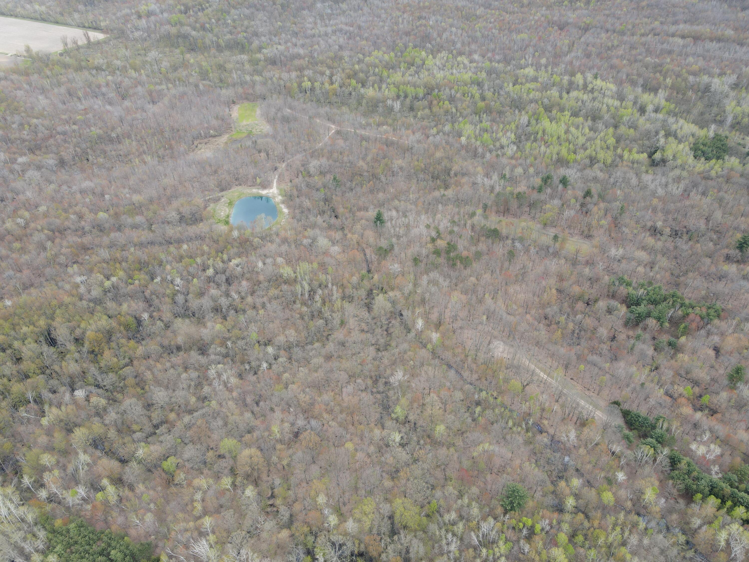 2954 North Carter Road Pinconning, MI 48650 - Photo 37 of 81 DJI_0349