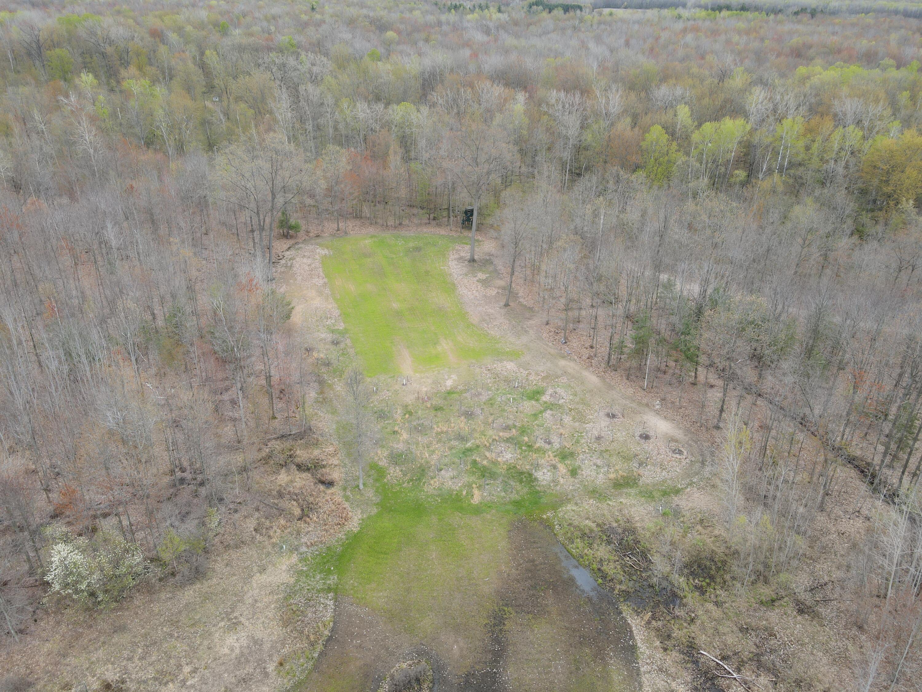 2954 North Carter Road Pinconning, MI 48650 - Photo 40 of 81 DJI_0353