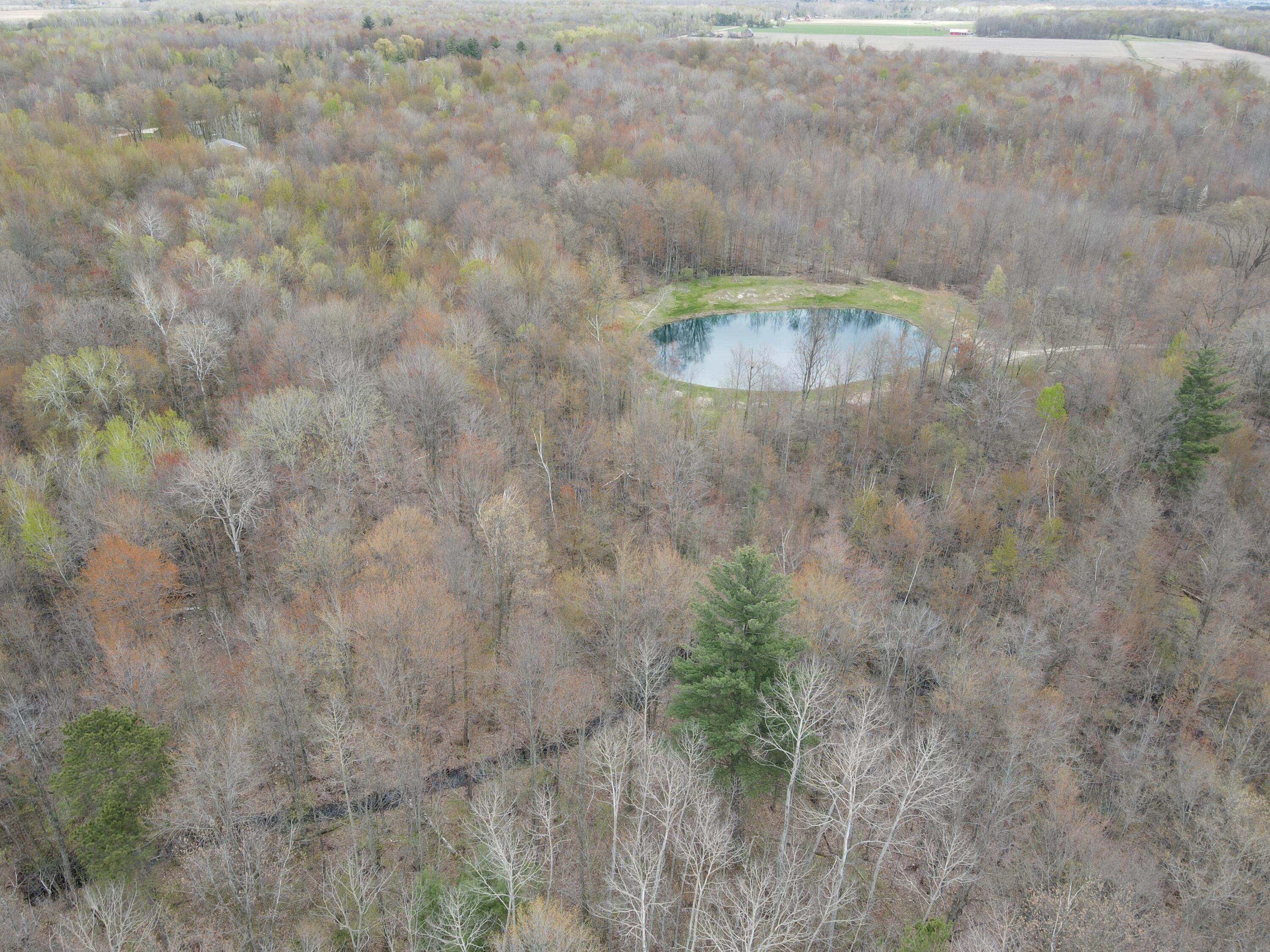 2954 North Carter Road Pinconning, MI 48650 - Photo 45 of 81 DJI_0360