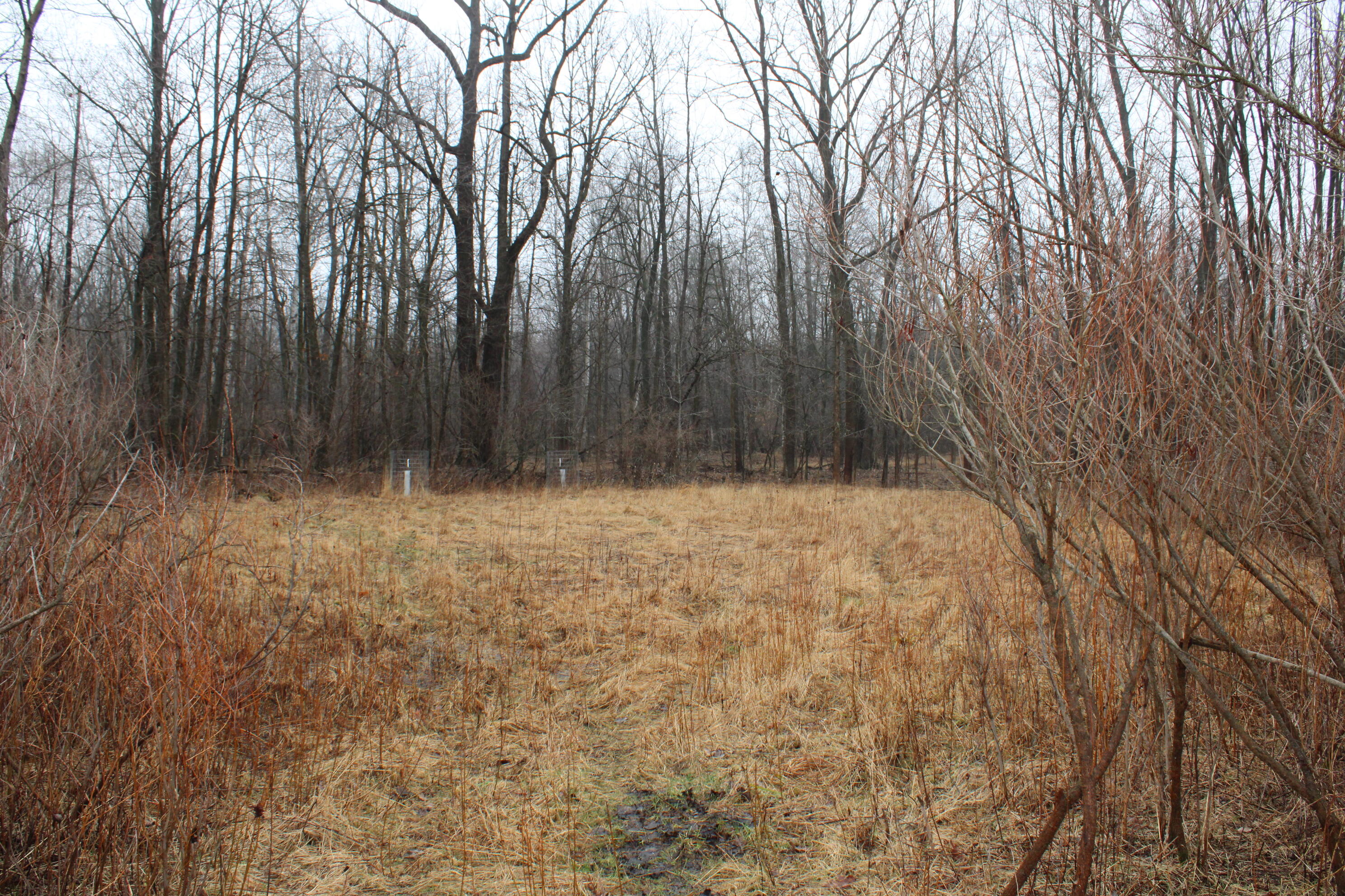 2954 North Carter Road Pinconning, MI 48650 - Photo 54 of 81 IMG_5584