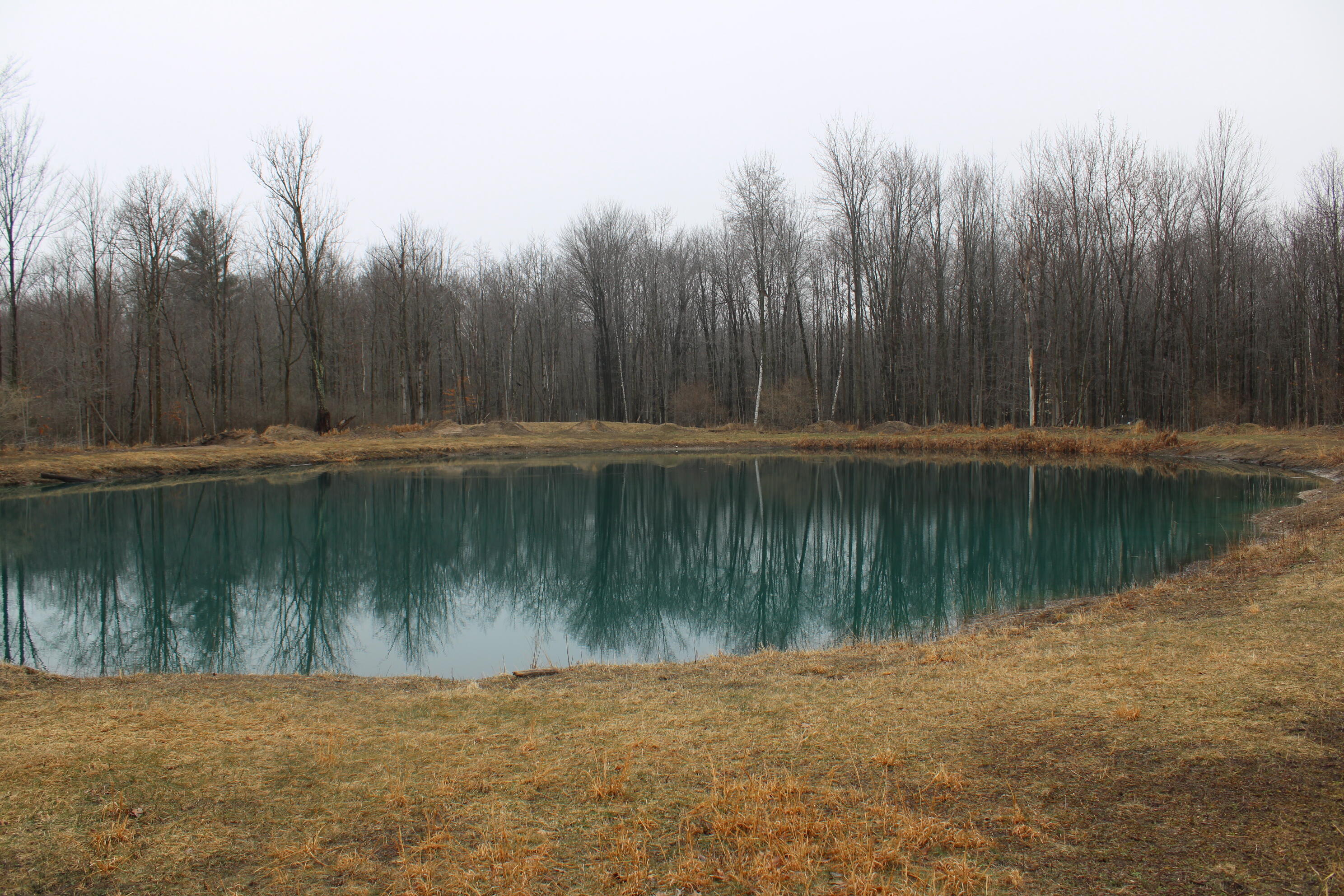 2954 North Carter Road Pinconning, MI 48650 - Photo 58 of 81 IMG_5615