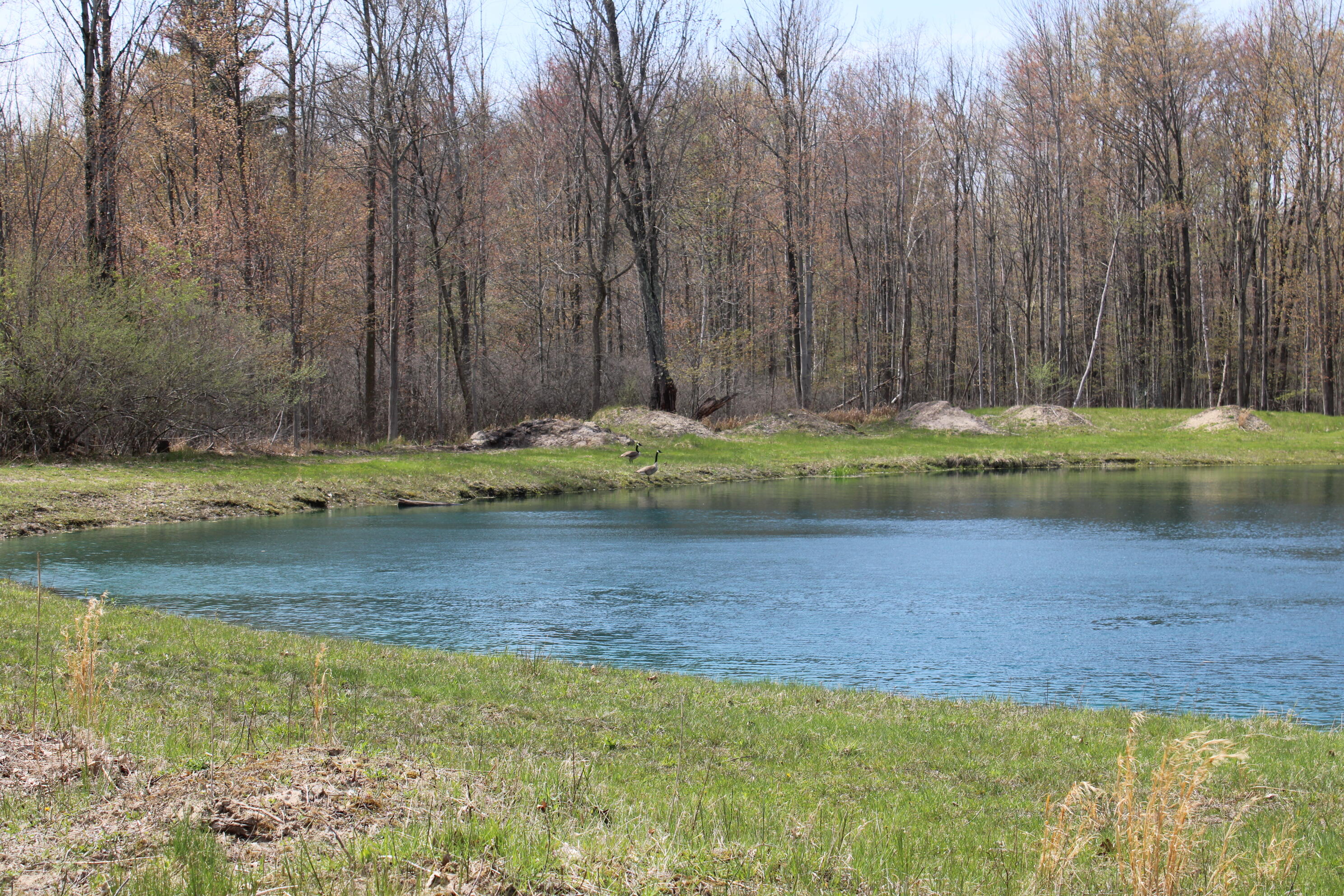 2954 North Carter Road Pinconning, MI 48650 - Photo 59 of 81 IMG_5832