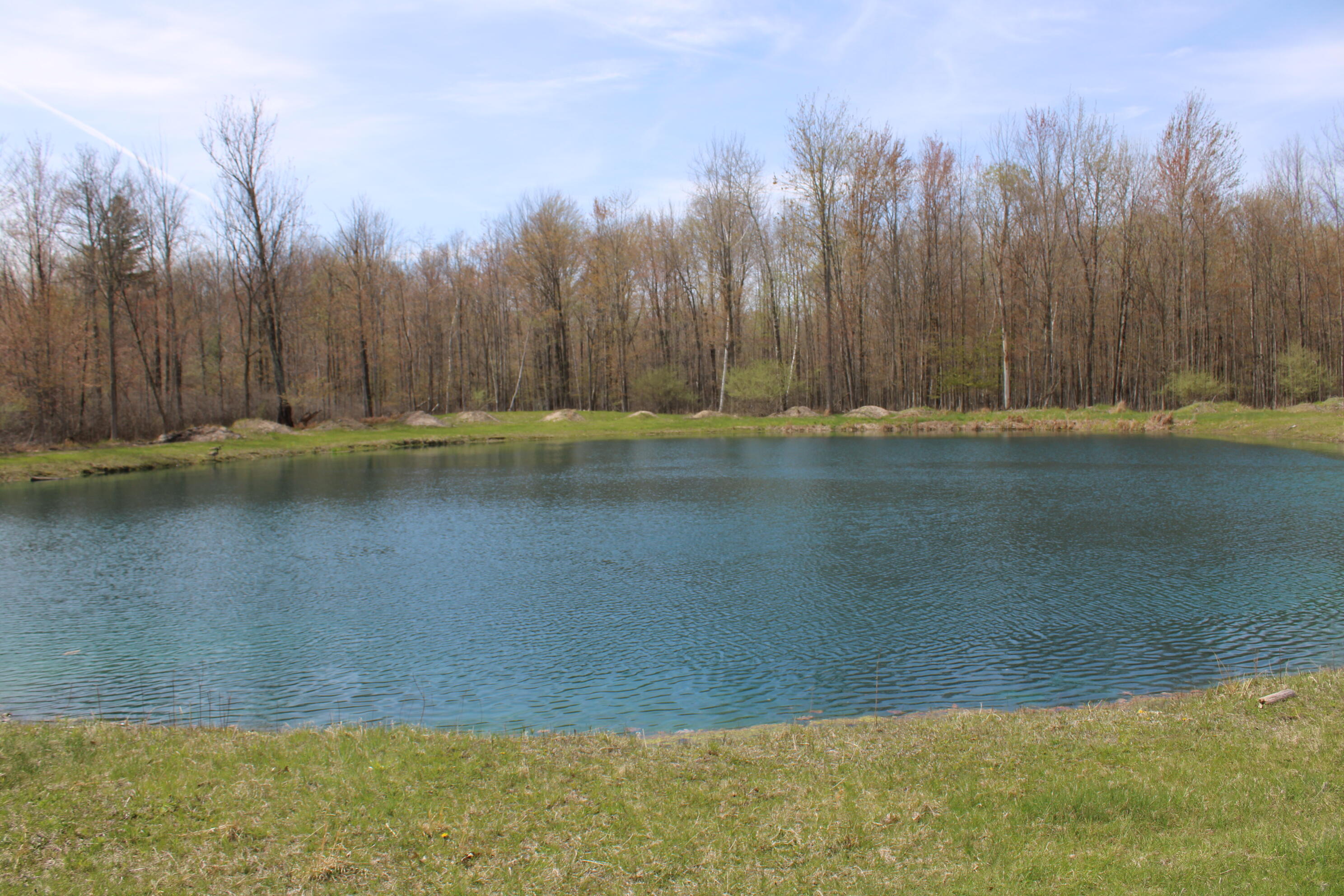 2954 North Carter Road Pinconning, MI 48650 - Photo 60 of 81 IMG_5834