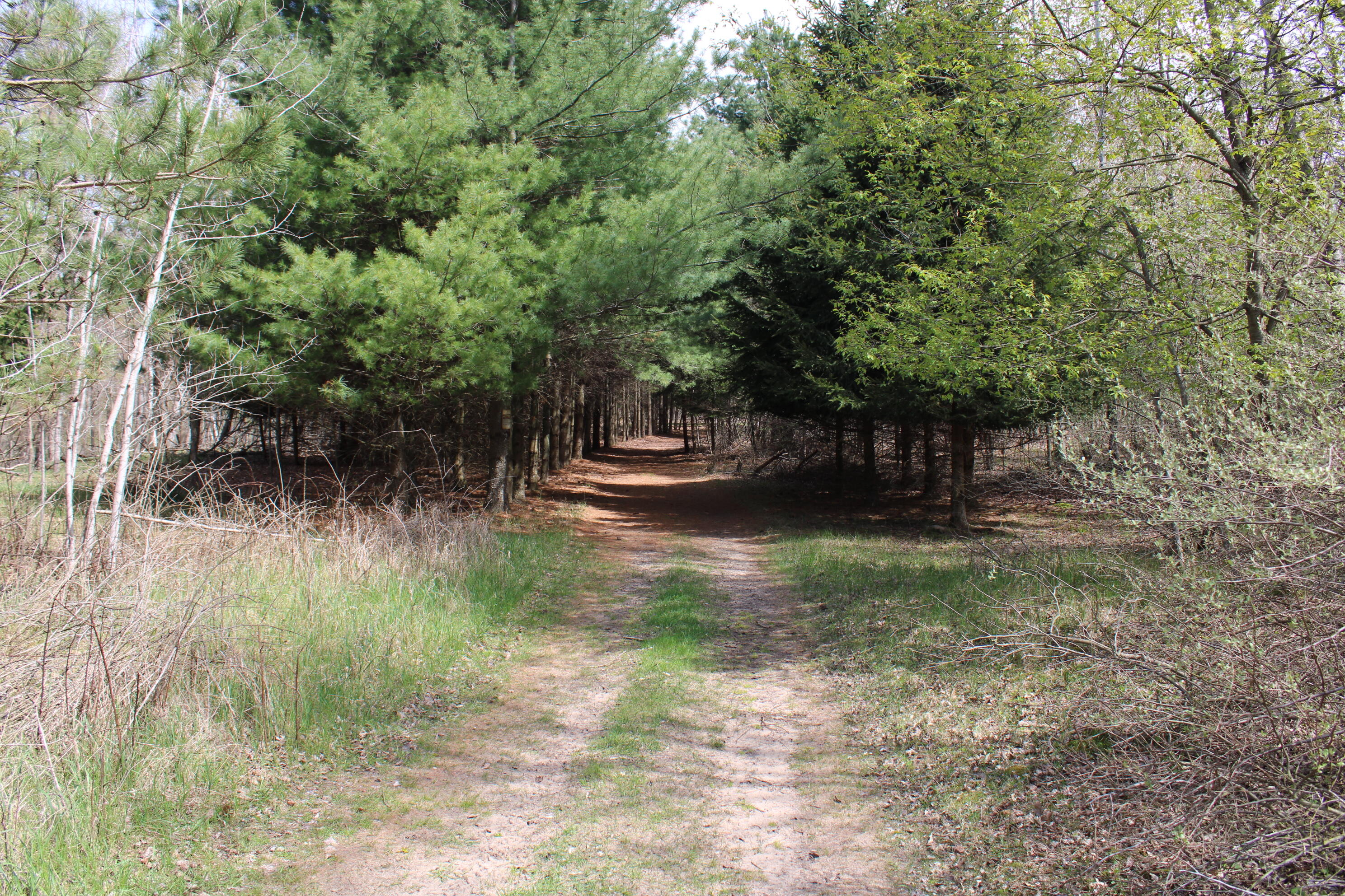 2954 North Carter Road Pinconning, MI 48650 - Photo 62 of 81 IMG_5812