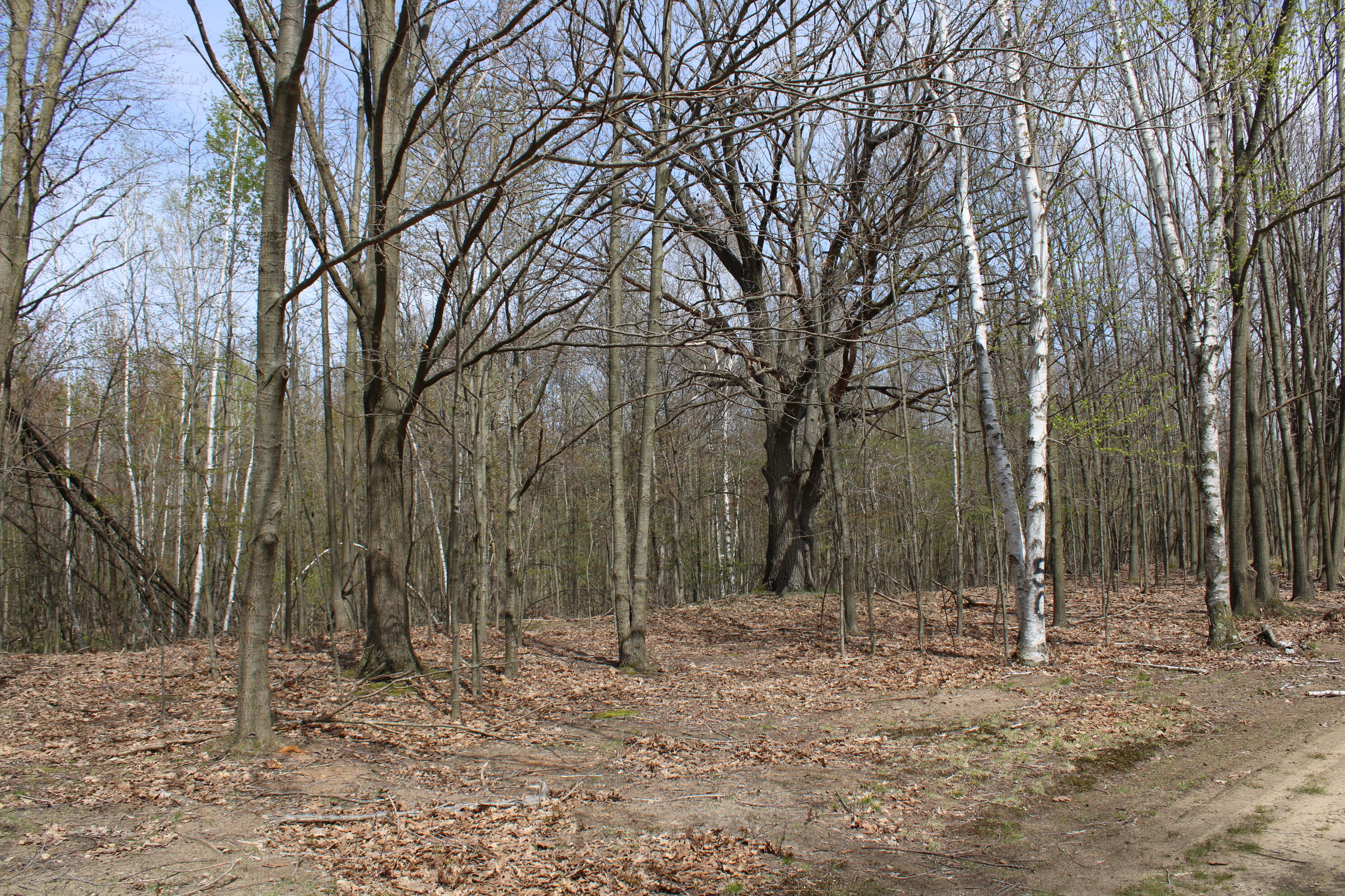 2954 North Carter Road Pinconning, MI 48650 - Photo 63 of 81 IMG_5814