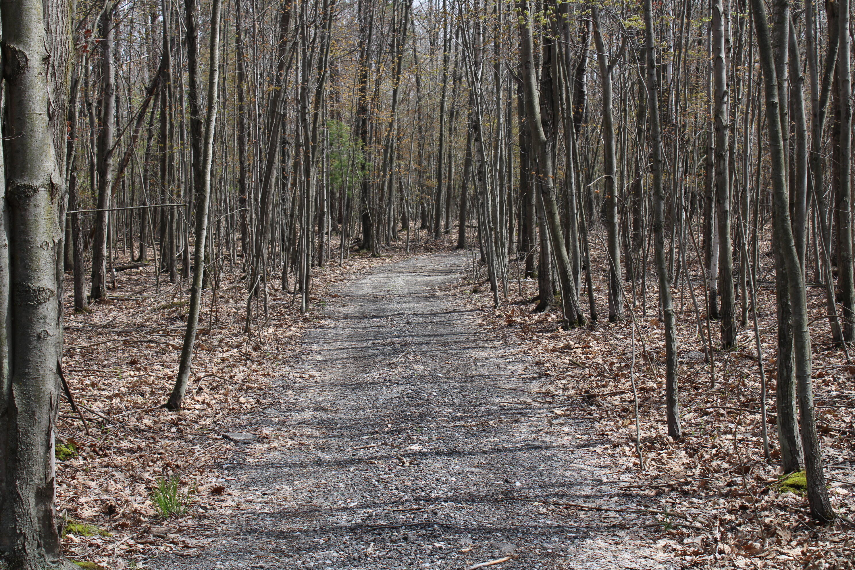 2954 North Carter Road Pinconning, MI 48650 - Photo 65 of 81 IMG_5817
