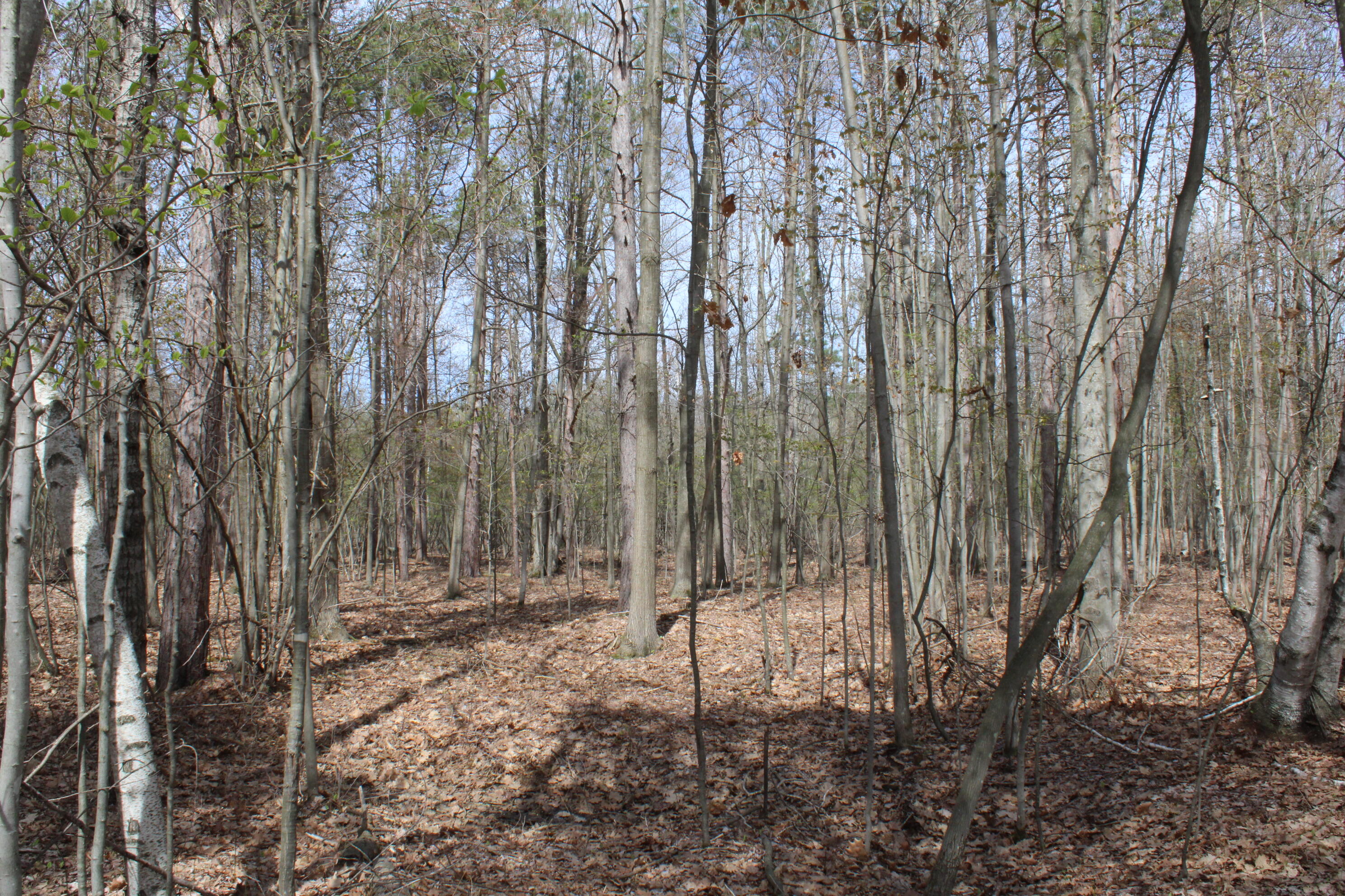 2954 North Carter Road Pinconning, MI 48650 - Photo 66 of 81 IMG_5818