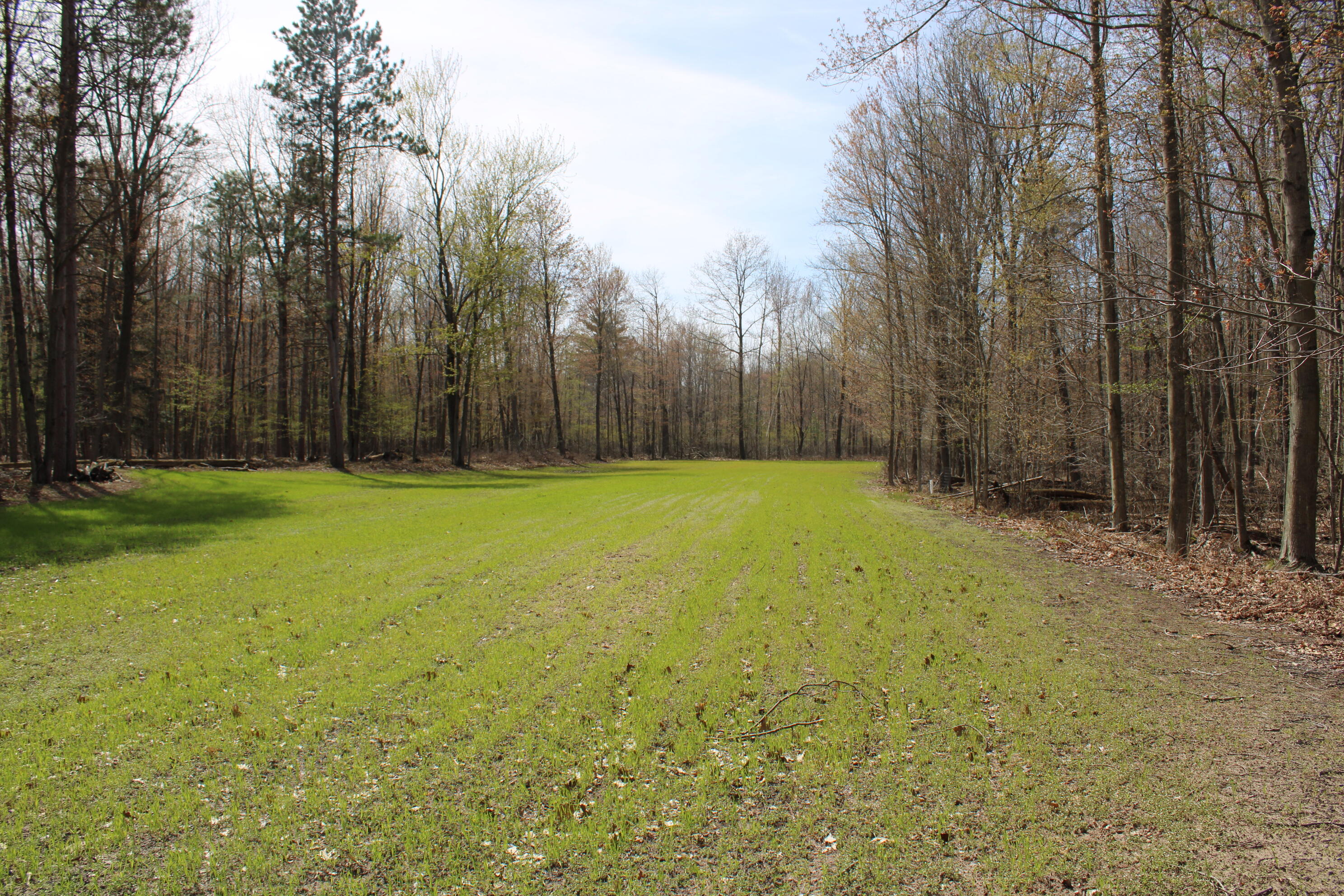 2954 North Carter Road Pinconning, MI 48650 - Photo 67 of 81 IMG_5819