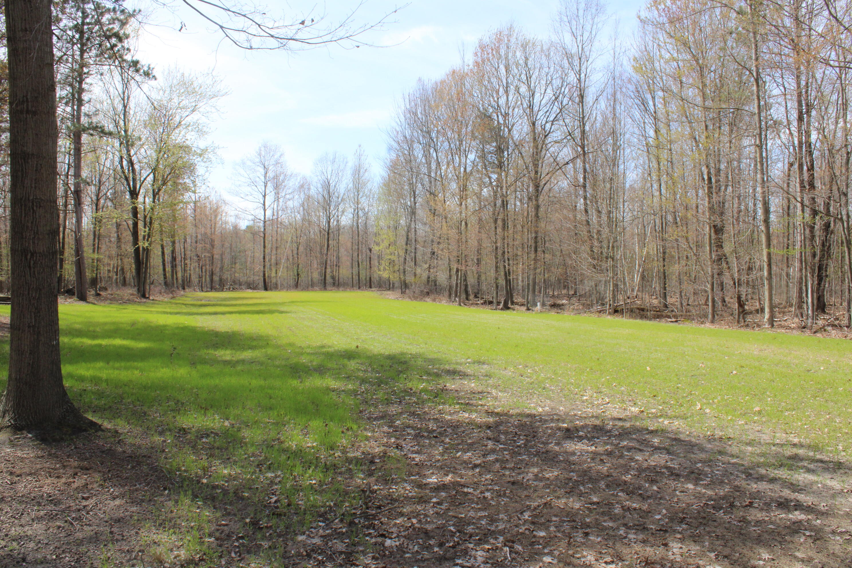 2954 North Carter Road Pinconning, MI 48650 - Photo 68 of 81 IMG_5820