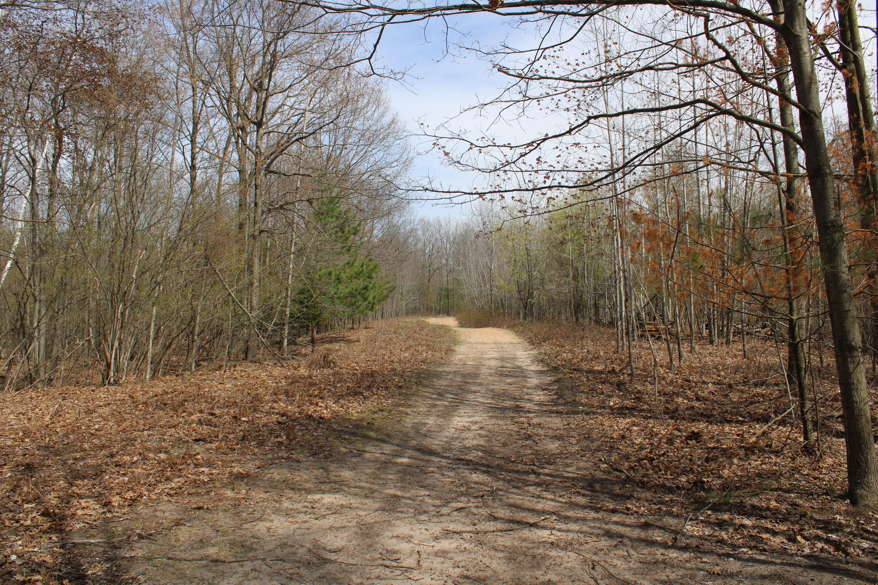 2954 North Carter Road Pinconning, MI 48650 - Photo 70 of 81 IMG_5823