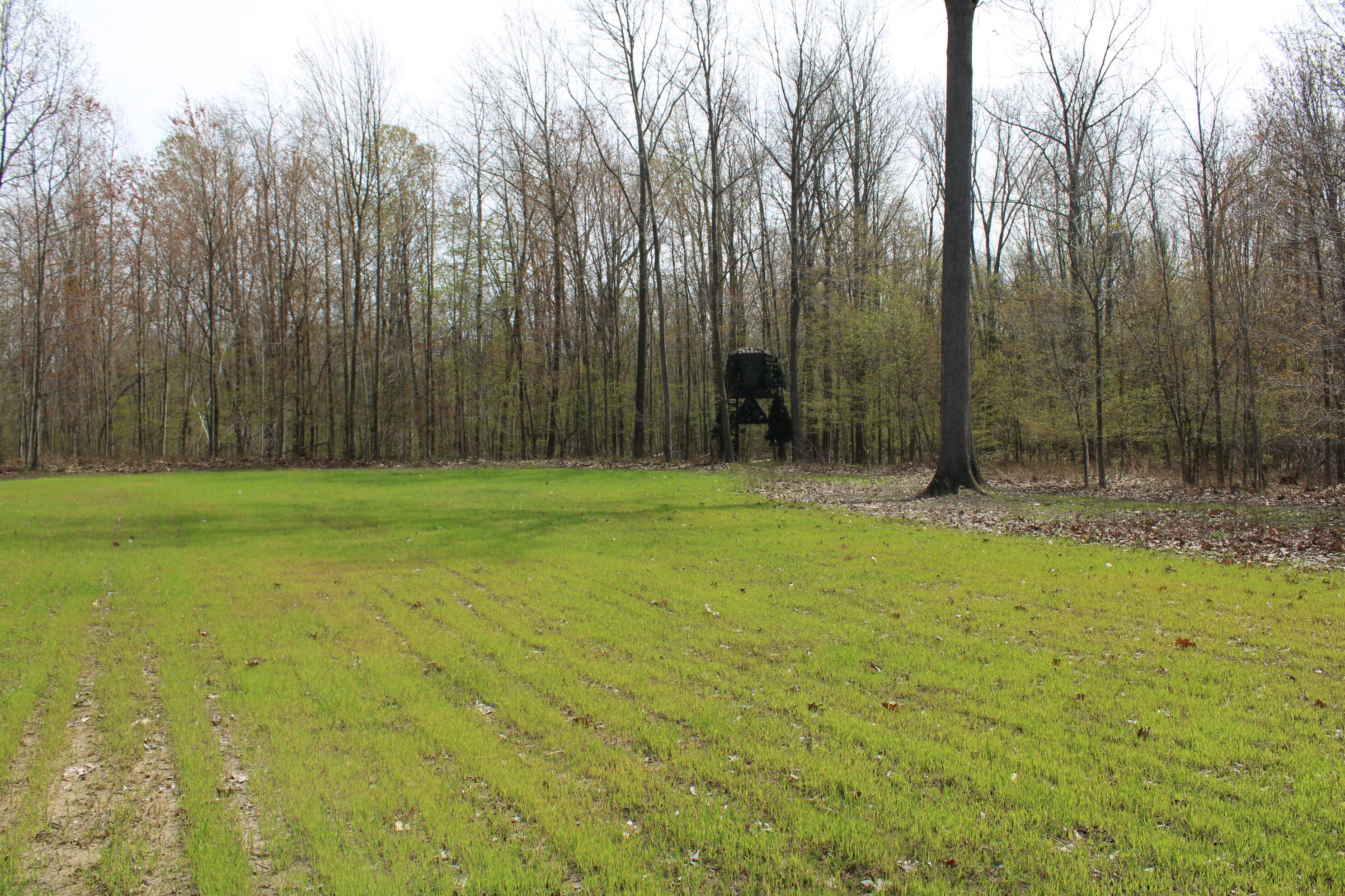2954 North Carter Road Pinconning, MI 48650 - Photo 72 of 81 IMG_5826