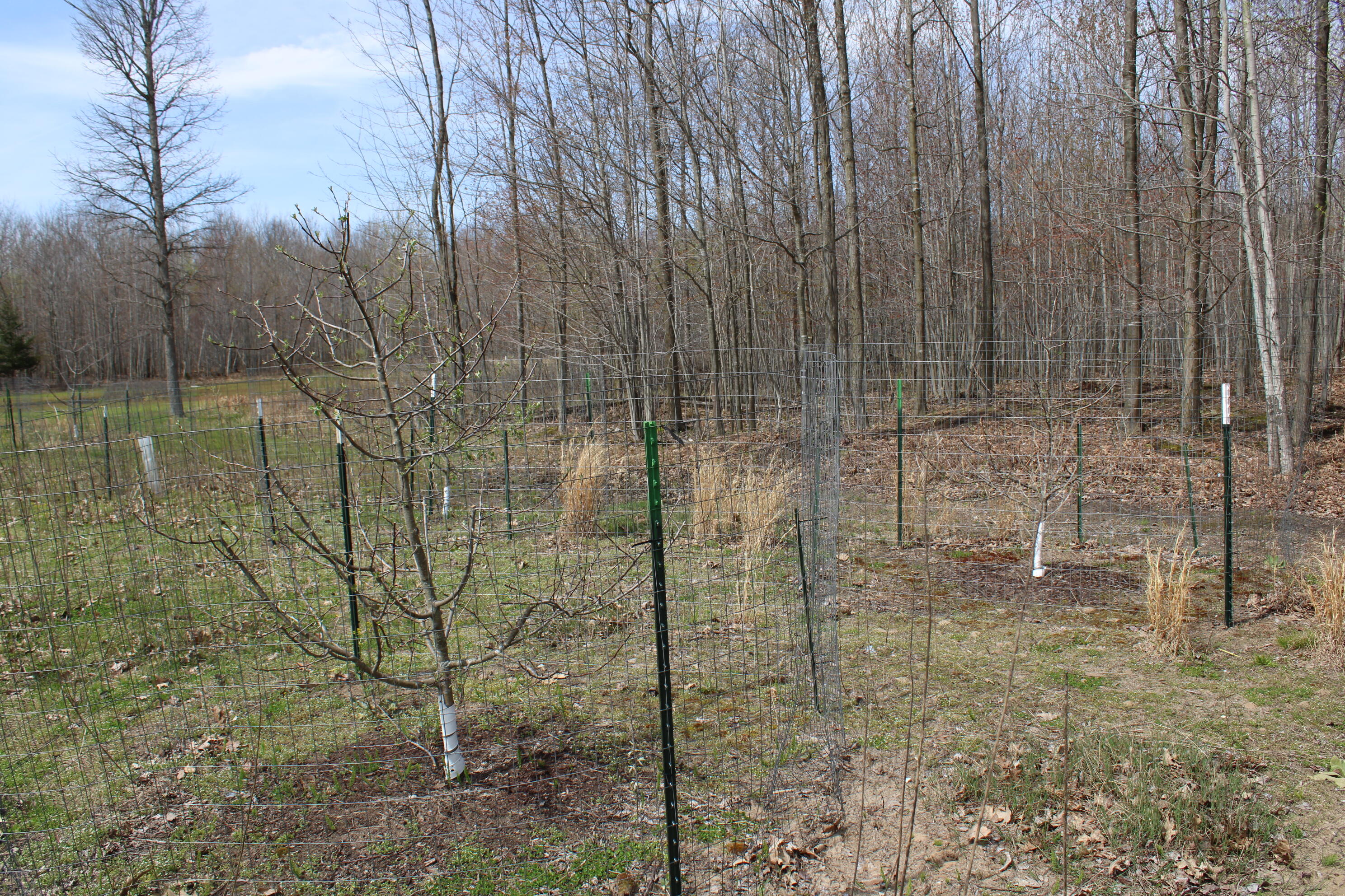 2954 North Carter Road Pinconning, MI 48650 - Photo 74 of 81 IMG_5828