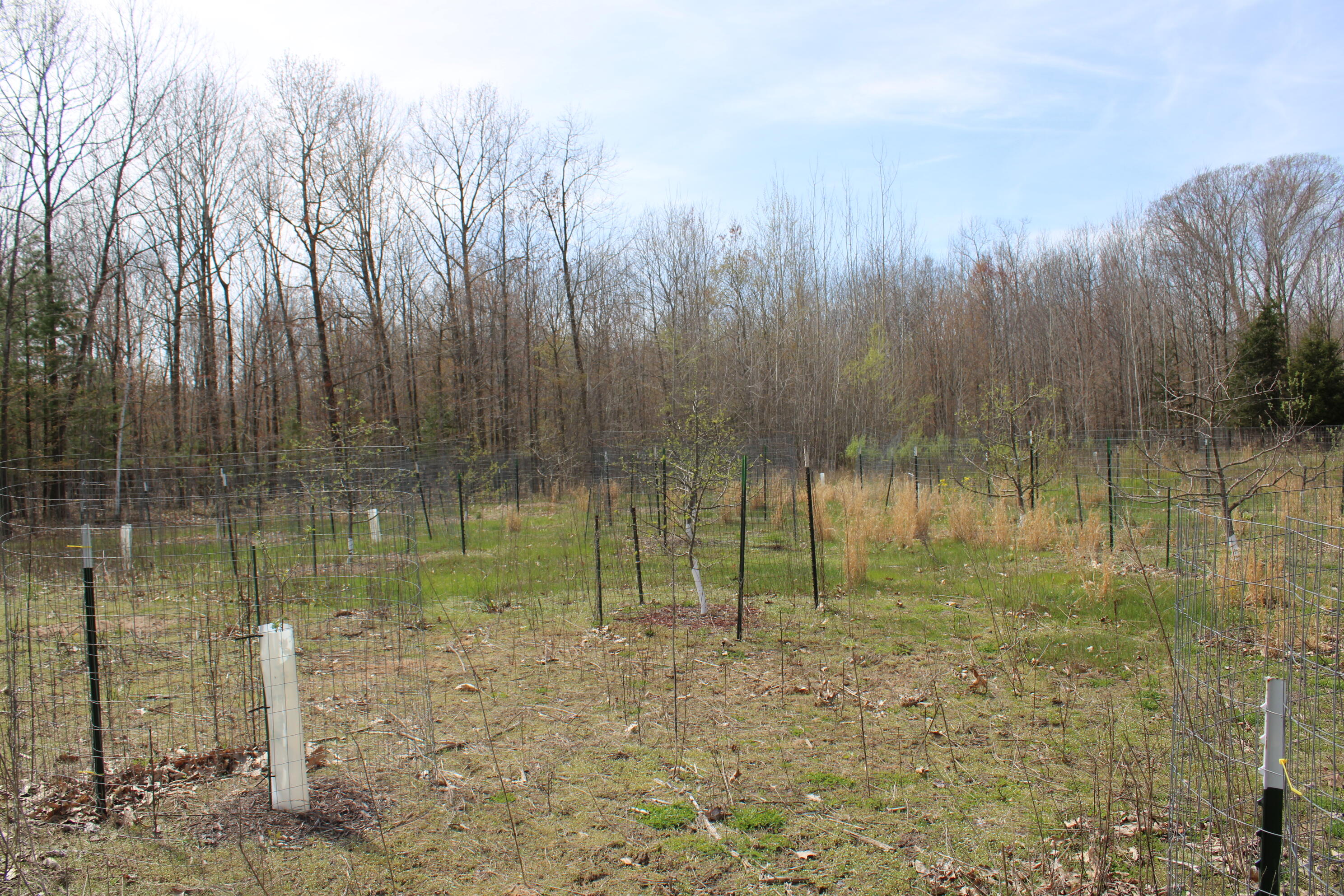 2954 North Carter Road Pinconning, MI 48650 - Photo 75 of 81 IMG_5829