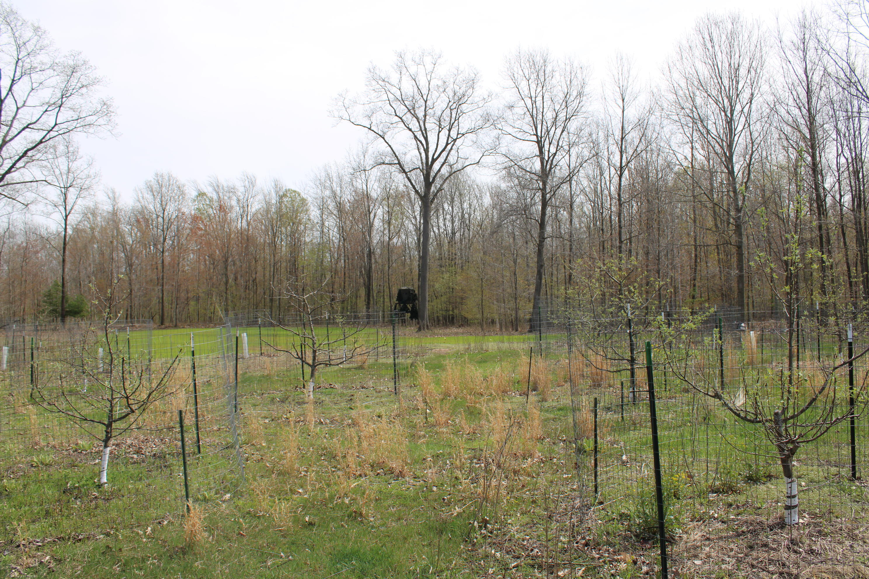 2954 North Carter Road Pinconning, MI 48650 - Photo 77 of 81 IMG_5831