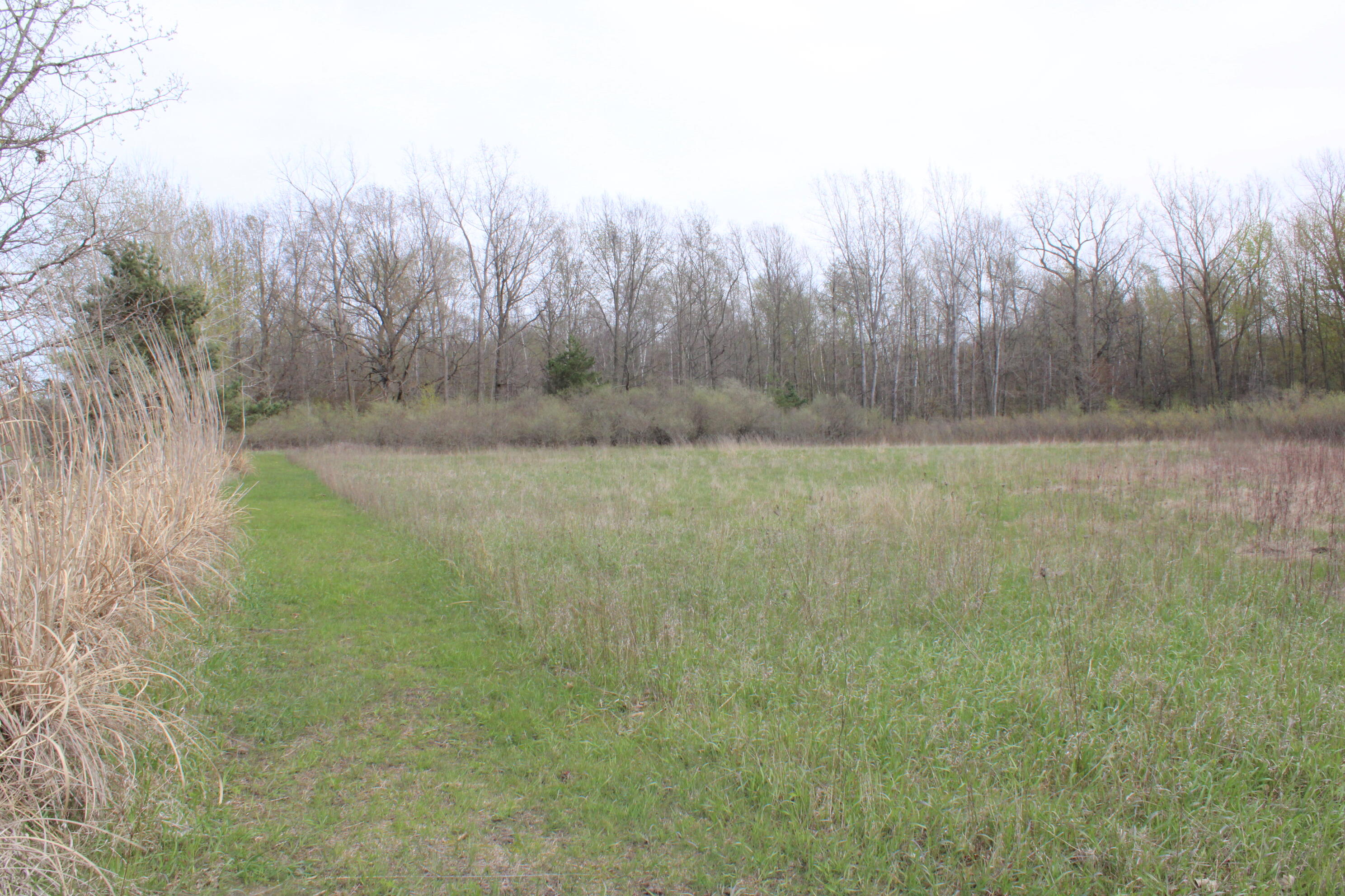 2954 North Carter Road Pinconning, MI 48650 - Photo 79 of 81 IMG_5840