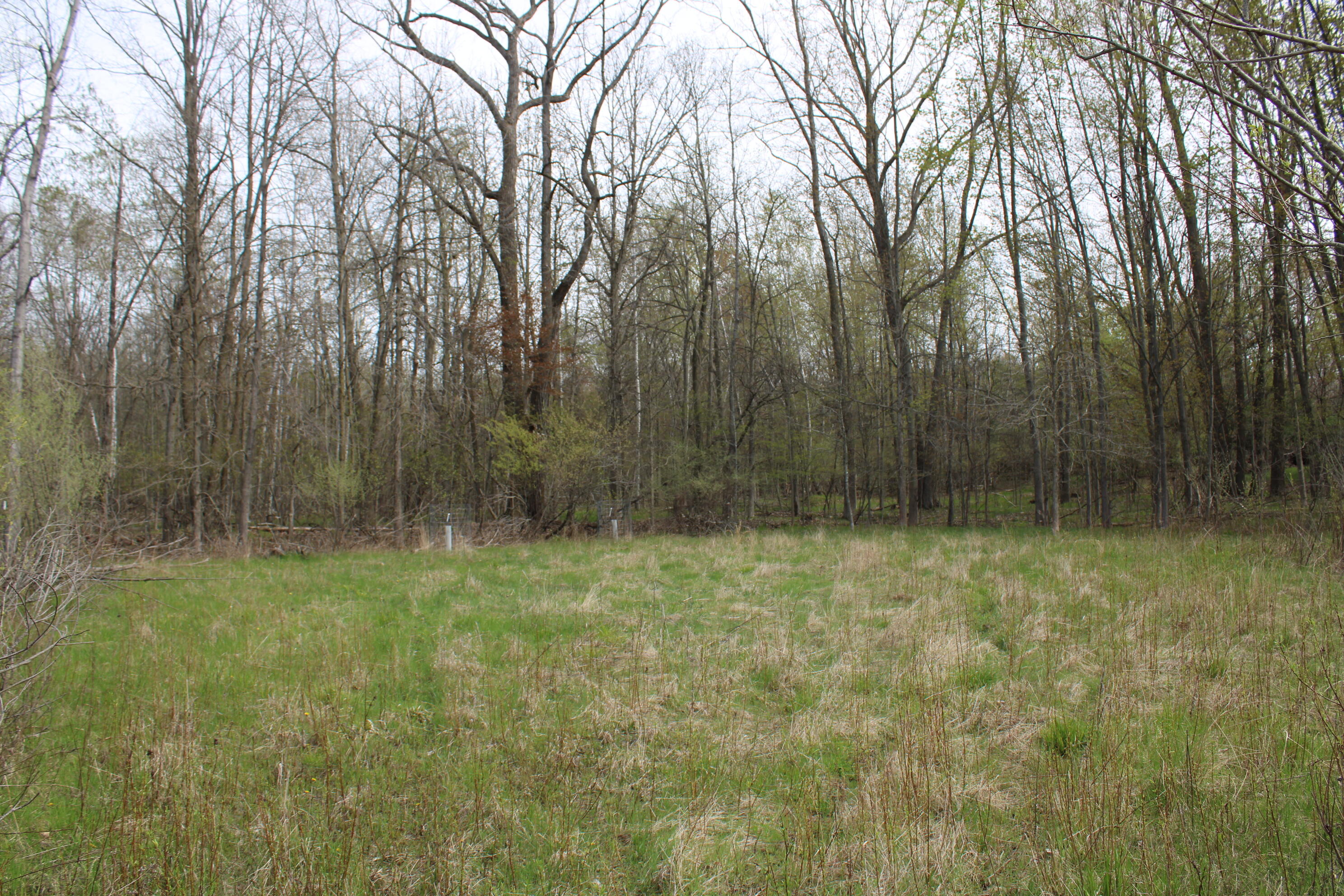 2954 North Carter Road Pinconning, MI 48650 - Photo 80 of 81 IMG_5841