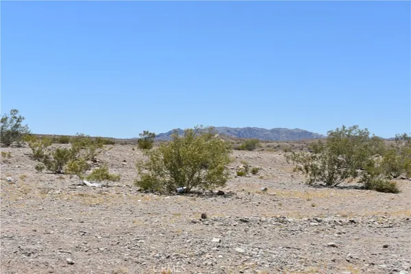 a view of a dry yard with mountains in the background