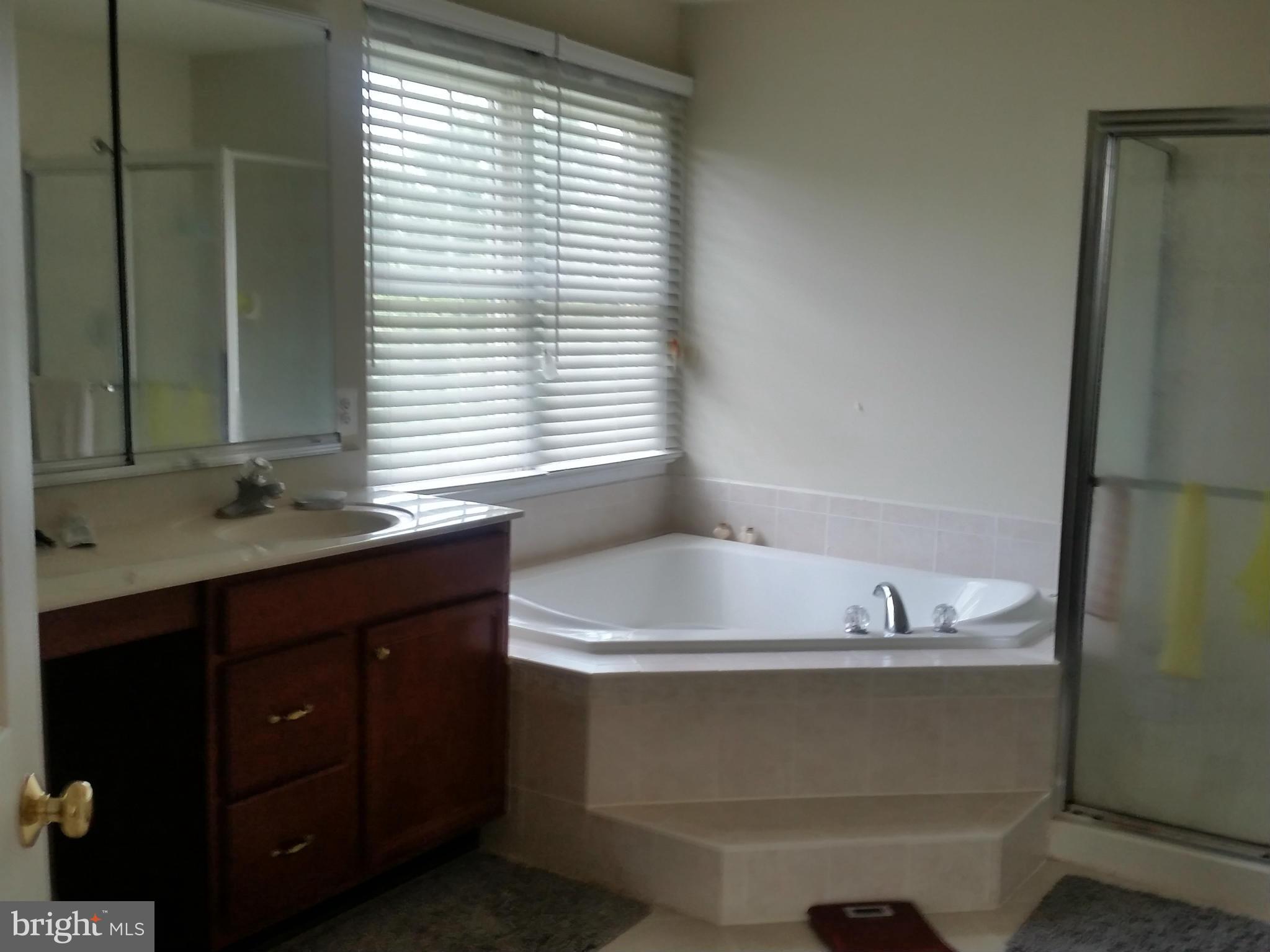 12628 Bright Spring Way Boyds, MD 20841 - Photo 8 of 11 Bath (Master)