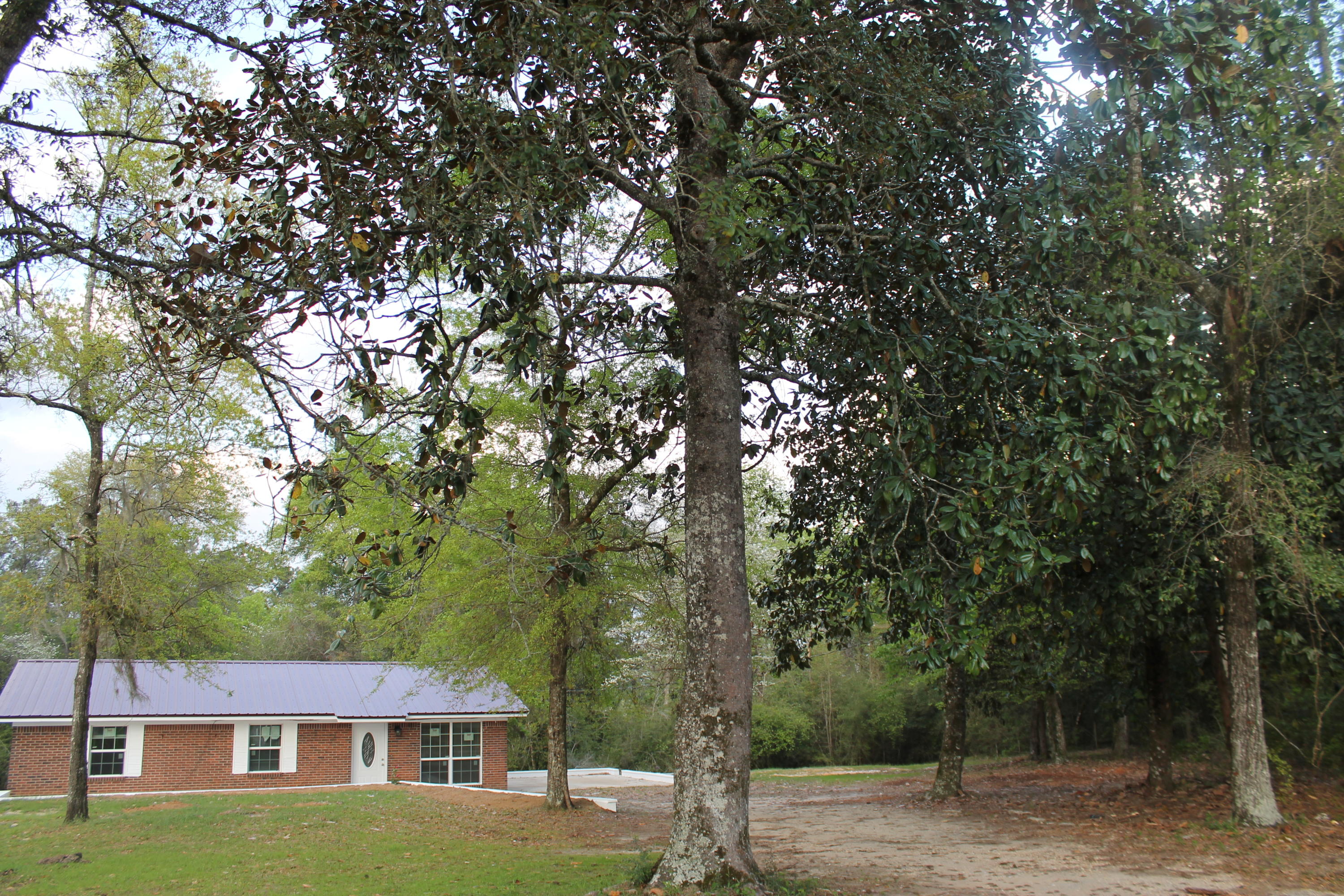 5755 Woolley Road Crestview, FL 32539 - Photo 9 of 29 IMG_3040.JPG