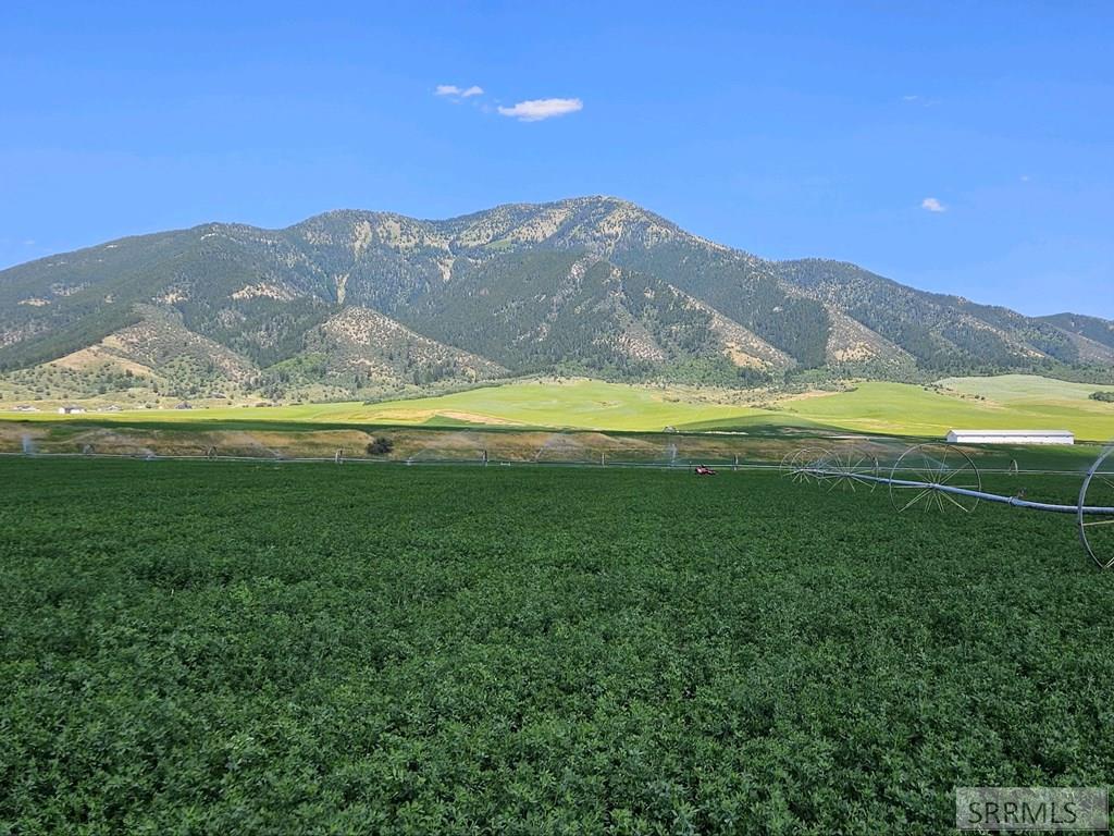 2007 Chapel Road Swan Valley, ID 83449 - Photo 4 of 5