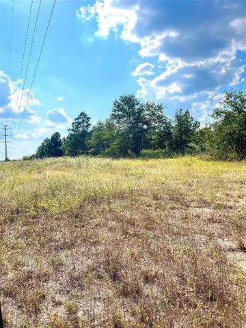 $45,000 | Tbd Ponderosa Loop, Paige, TX 78659