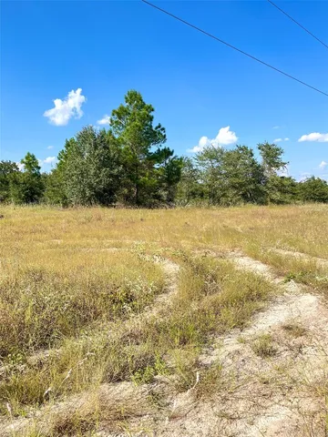$45,000 | Tbd Ponderosa Loop, Paige, TX 78659