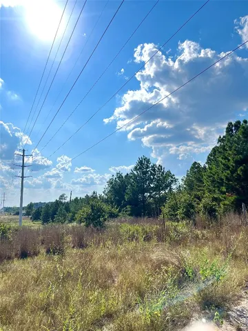 $45,000 | Tbd Ponderosa Loop, Paige, TX 78659