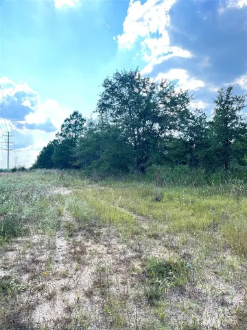 $45,000 | Tbd Ponderosa Loop, Paige, TX 78659