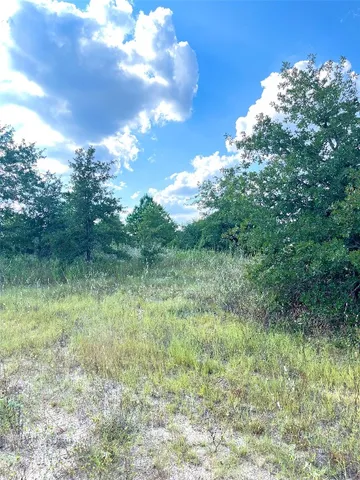 $45,000 | Tbd Ponderosa Loop, Paige, TX 78659