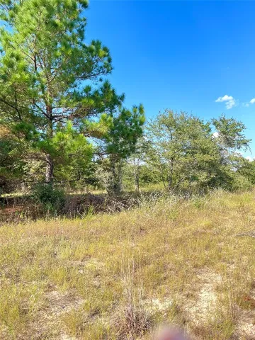 $45,000 | Tbd Ponderosa Loop, Paige, TX 78659