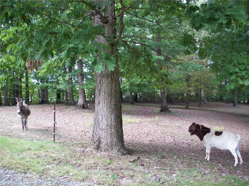 8050 West Road Walnut Cove, NC 27052 - Photo 21 of 22 Gallery Image 21