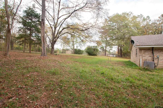 a view of a yard with a tree