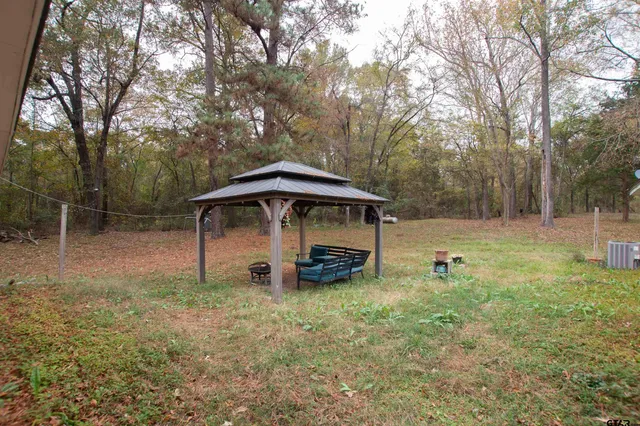 a view of backyard with small cabin