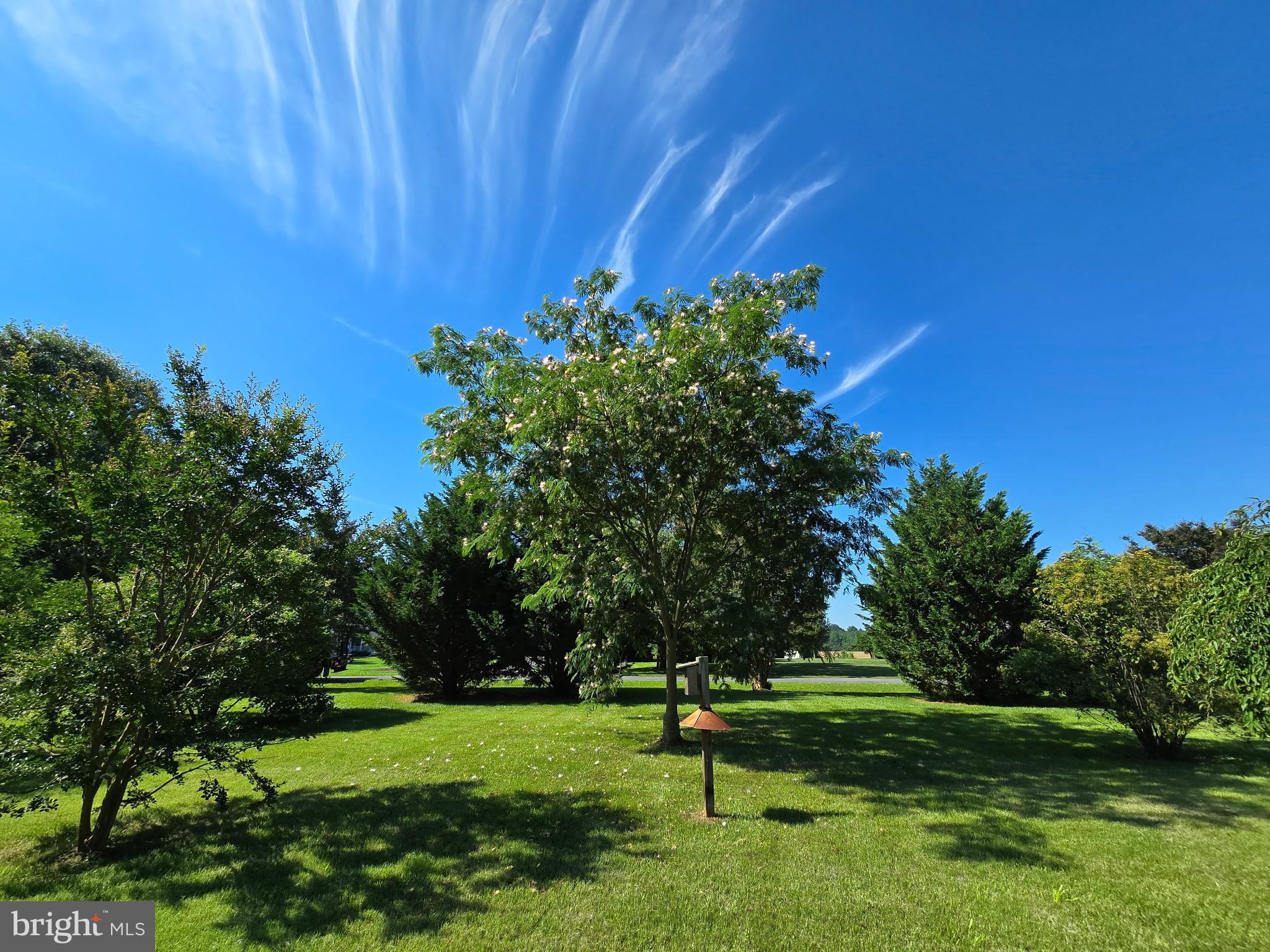Front yard
