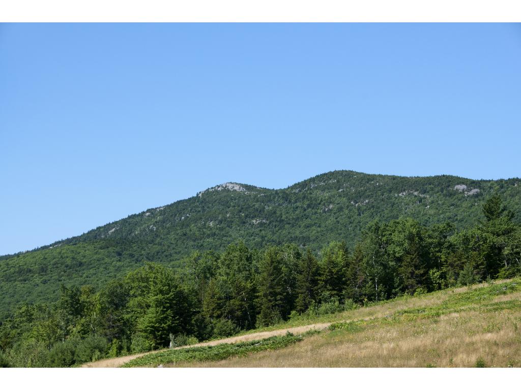 172-178 Learned Road Dublin, NH 03444 - Photo 2 of 25