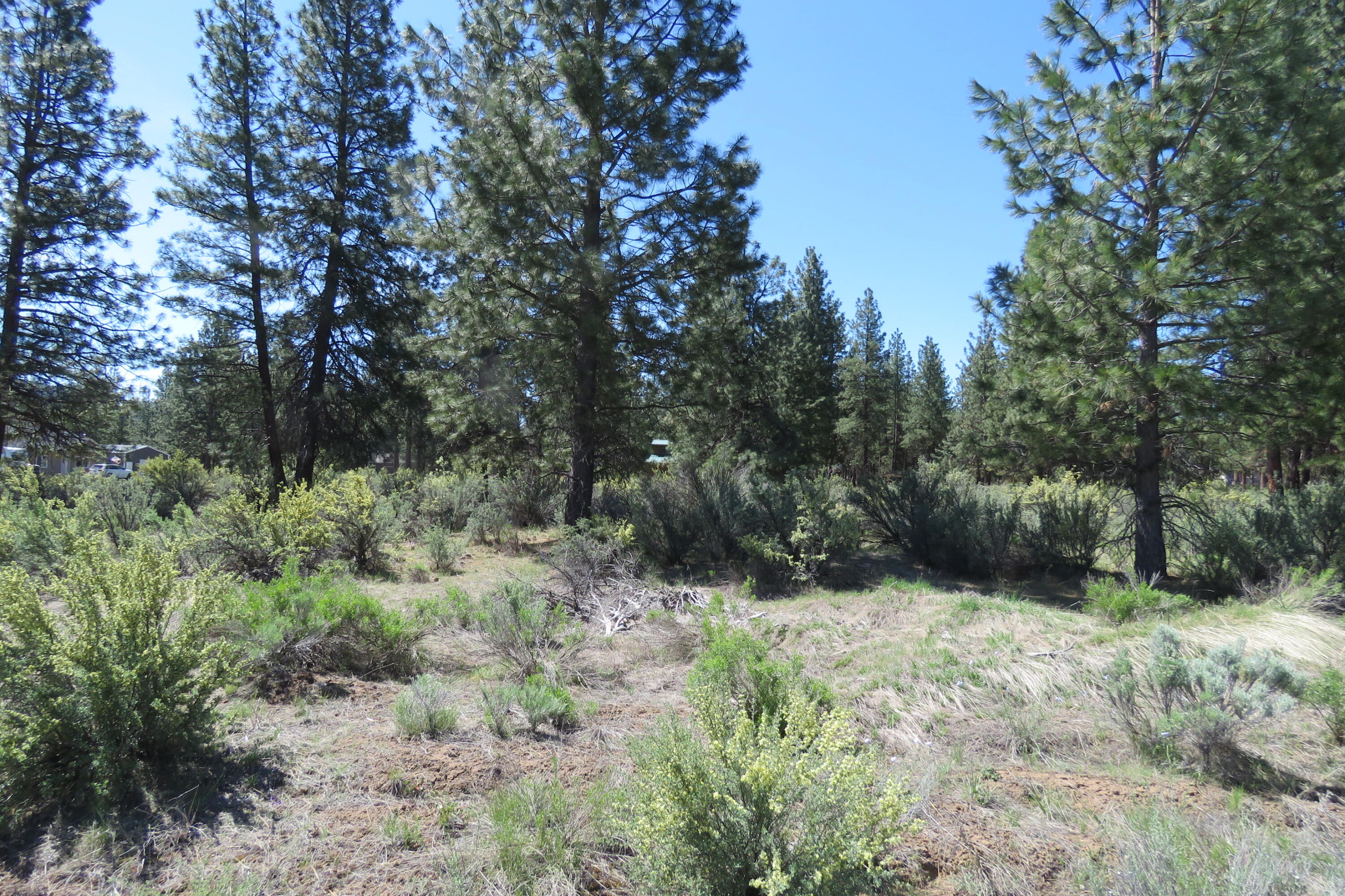 Castle Drive Chiloquin, OR 97624 - Photo 6 of 12 IMG_4565
