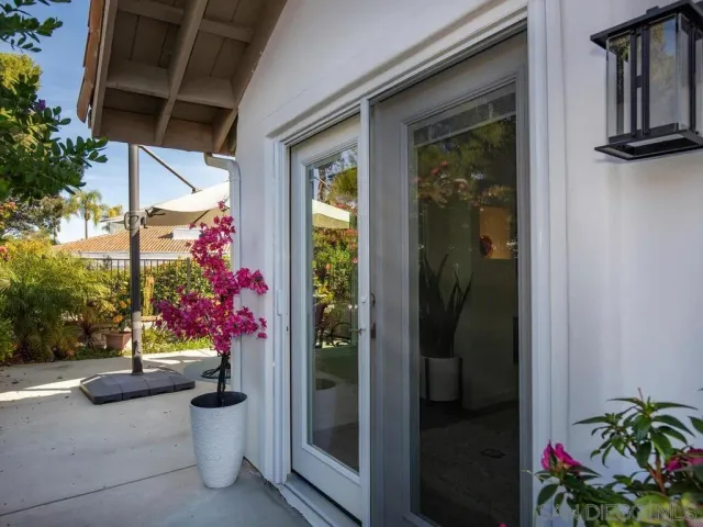a view of a potted plants next to a building