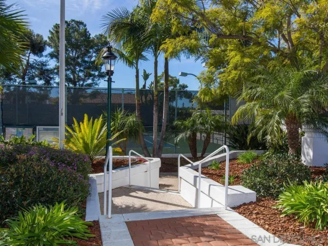 a view of a backyard with plants