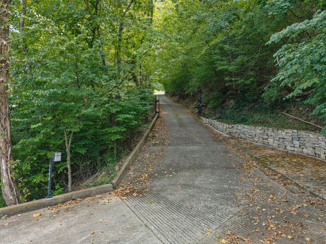 a view of a pathway both side of yard