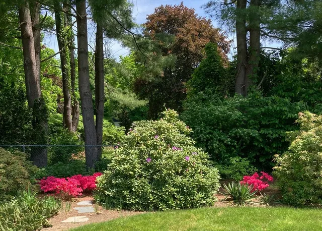 a view of a house with a big yard and potted plants